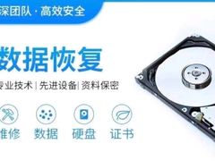 -西数WD希捷东芝数据恢复硬盘专业维修(黄浦店)