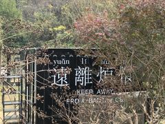 -柳州肥姨妈大骨螺蛳粉(万达中心店)