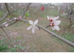 -桤木河湿地公园