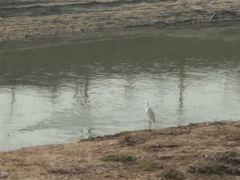 -洨河生态公园