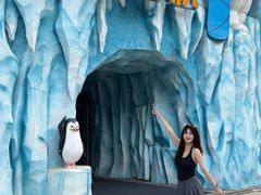 -观澜湖新城运动奥莱区