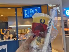 -春丽小马(济南恒隆广场店)