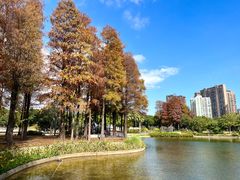 -四海公园(南山区)