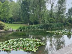 -习家池