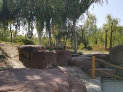 -小绿谷公园