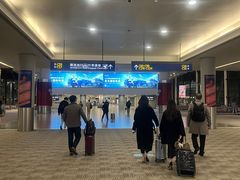 -上海浦东国际机场-T2航站楼