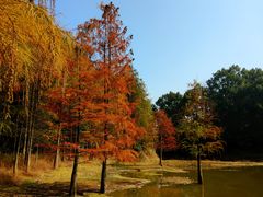 -青龙山国家森林公园