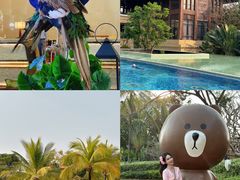 -西双版纳融创皇冠假日度假酒店