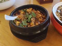 -陈麻婆豆腐总店