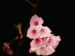 -静安雕塑公园