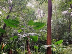 -成都市活水公园