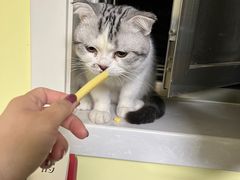 -萌兽医馆·绝育·24小时内科·宠物医院(德胜店)