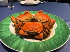 -老吉堂上海本帮菜(工体店)