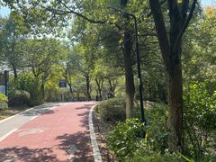-艾溪湖湿地公园