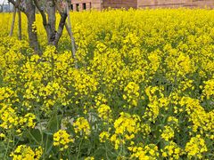 -晓风书屋(浙大紫金港店)