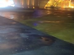 -中国马镇舞马世界主题乐园