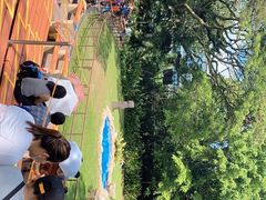 -新加坡飞禽公园