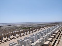 -南汇嘴观海公园