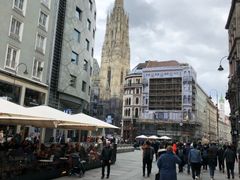 -斯蒂芬主教座堂(Stephansdom)