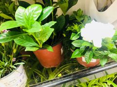 -永和大王(茉莉上新·星塘街店)