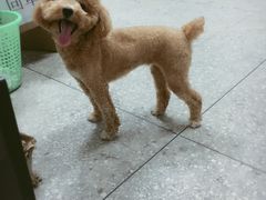 -骐奇宠物诊疗中心(南亭公路店)