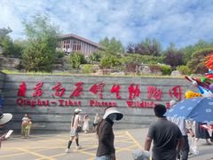 -青藏高原野生动物园