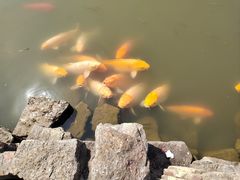 -云水涧亲子度假酒店