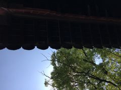 景点-赵园·曾园