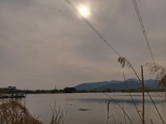 -长田漾湿地公园