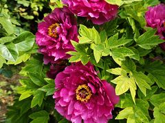 -好世界商业广场(北京国际中心店)