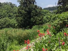 -阿哈湖国家湿地公园