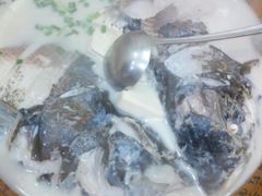 -全乐鱼馆·淳牌有机鱼直营店