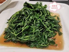 -新南华大酒店(长寿店)