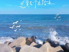-东堤公园