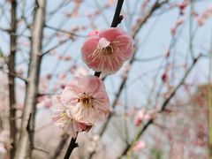 -蜀冈西峰生态公园