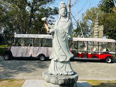 -东钱湖小普陀景区