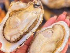 -蚝抵食·湛江生蚝(湾北路店)