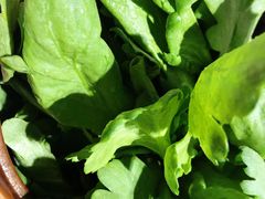 茼蒿-呷哺呷哺 黄金牧场 (新中关购物中心店)