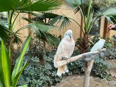 -南宫五洲植物乐园