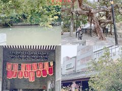 -小洲村