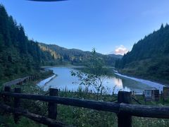 -武陵山森林公园