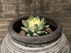 -大良毋米粥 · 粥底火锅(岭南天地店)