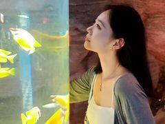 -西安曲江海洋极地公园