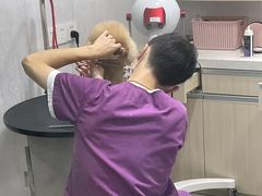 -宠颐生动物医院·小陆分院