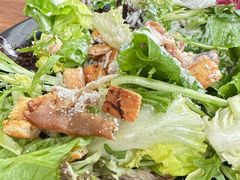 -Tubestation站点比萨(五道营店)