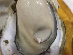 -蚝专家(北滘店)