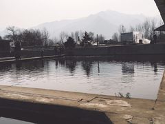 -特种渔场