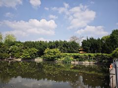 -嘉定紫藤园