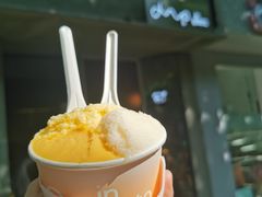 -DIP in GELATO(富民路店)