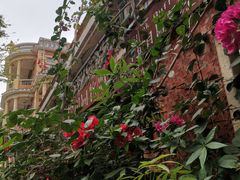 -晋江五店市传统文化旅游区